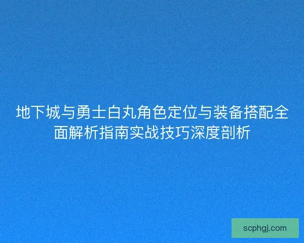 地下城与勇士白丸角色定位与装备搭配全面解析指南实战技巧深度剖析