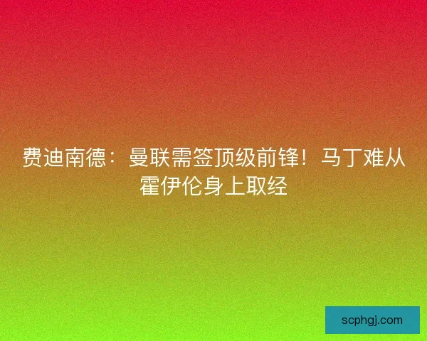 费迪南德：曼联需签顶级前锋！马丁难从霍伊伦身上取经