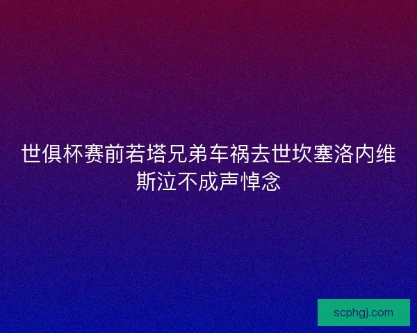 世俱杯赛前若塔兄弟车祸去世坎塞洛内维斯泣不成声悼念