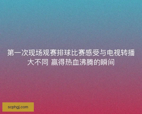 第一次现场观赛排球比赛感受与电视转播大不同 赢得热血沸腾的瞬间